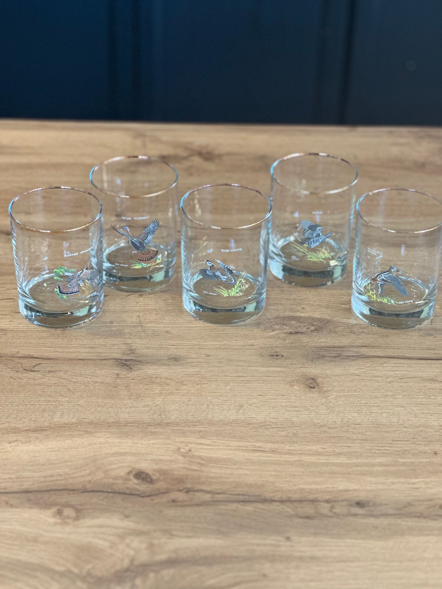 Vintage Ned Smith Game Birds Whiskey Glasses (Set of 5)