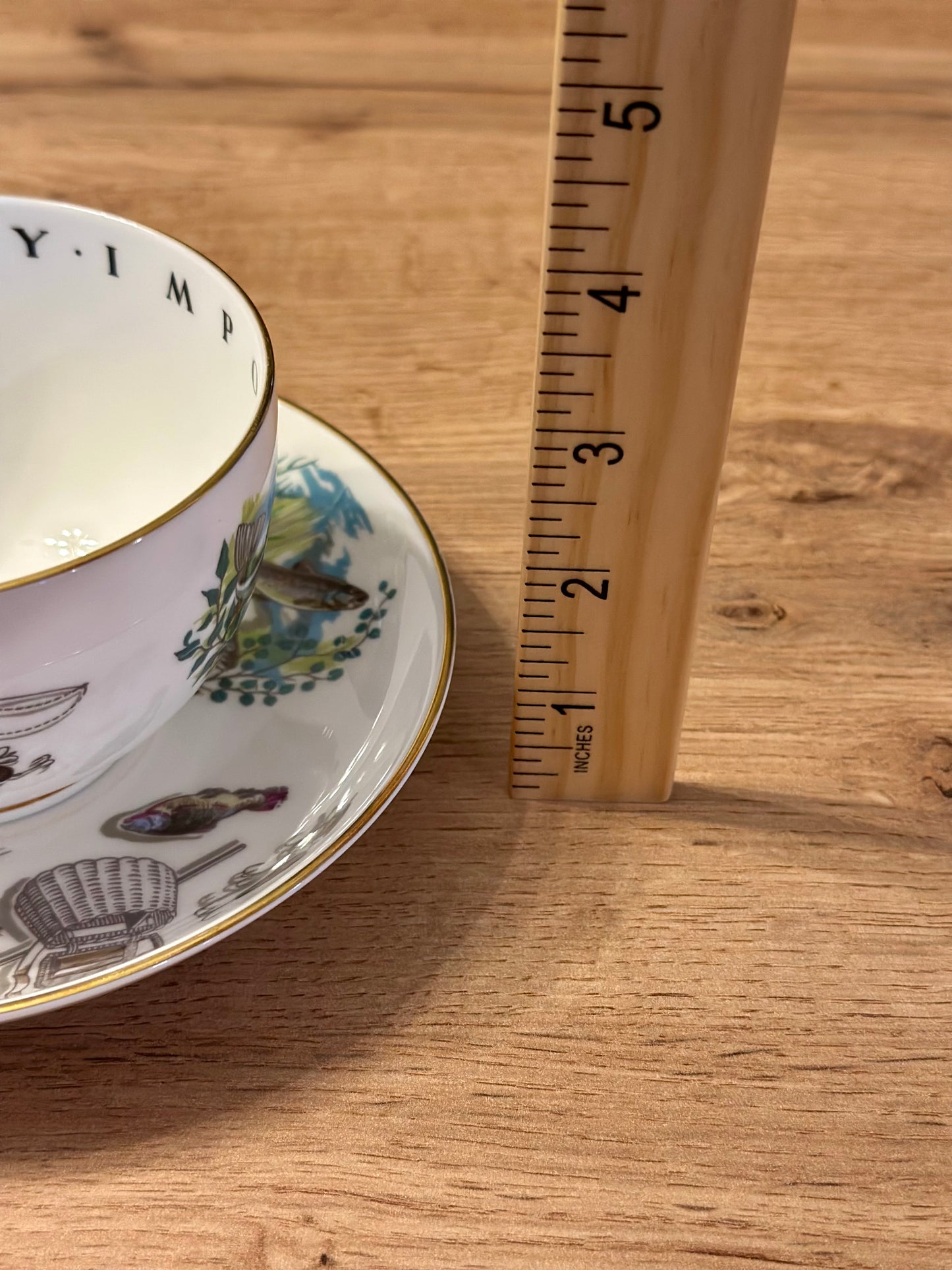 Vintage Royal Worcester Cup and Saucer - “To A Very Important Person” Fly Fishing and Trout Scenes