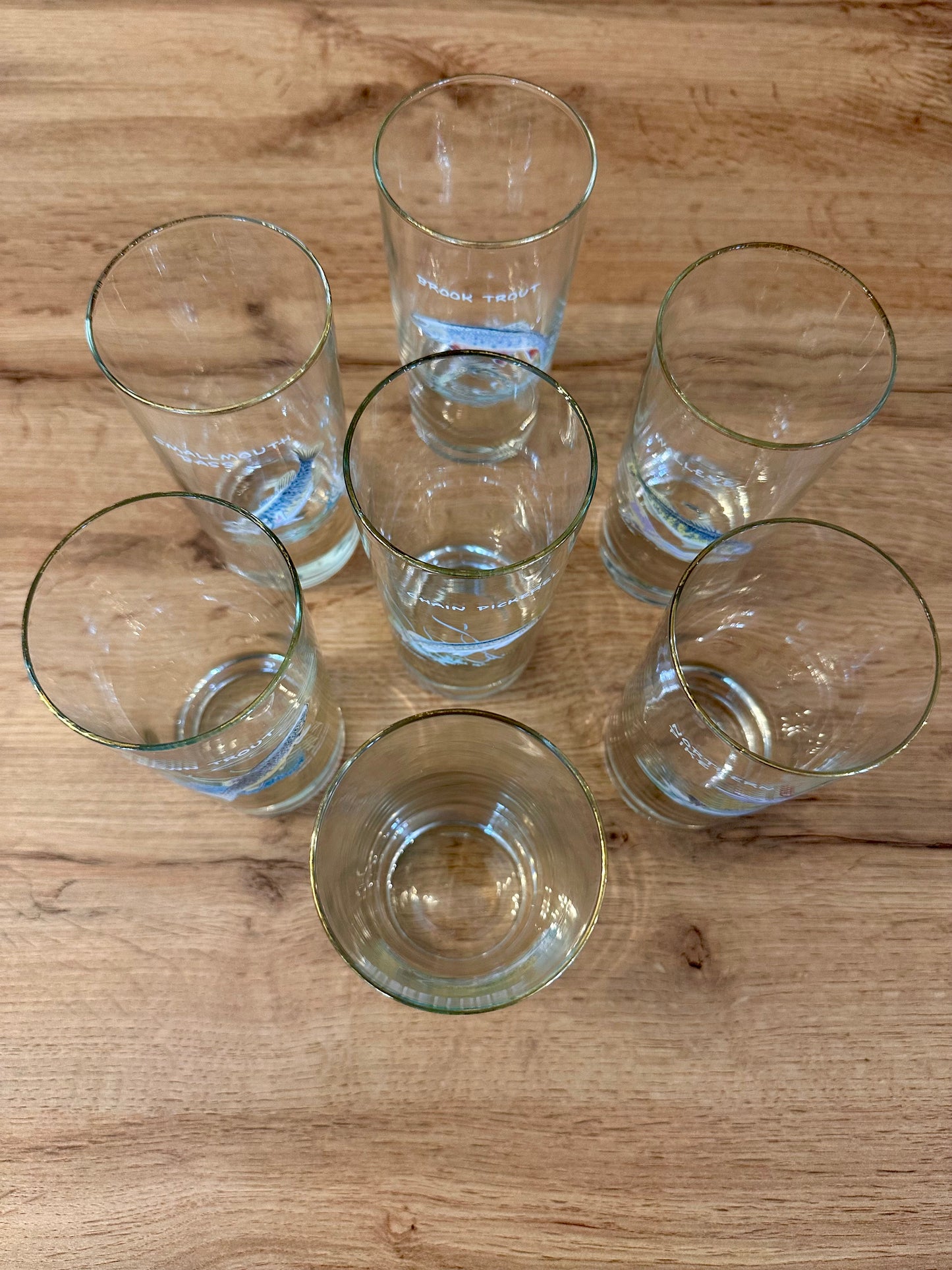 Vintage 1970s Orvis Ned Smith Highball Tumblers Game Fish (set of 7)
