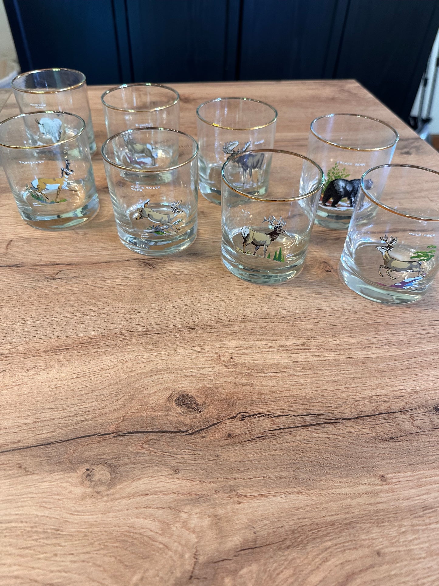 Vintage 🥃 Rare Complete Set Ned Smith “Big Game” Whiskey Glasses (Set of 8) Mint Condition