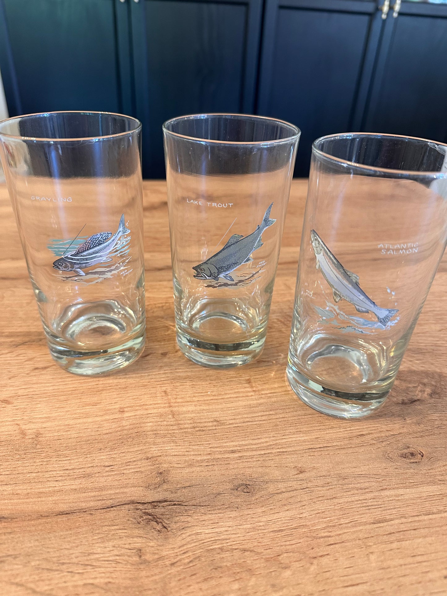 Vintage Ned Smith Highball Glasses (Set of 6) Trout Fish Series